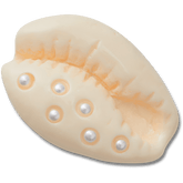 Crocs Pearl Puka Shell Jibbitz™ charms Women|Men|Jibbitz™ Charms