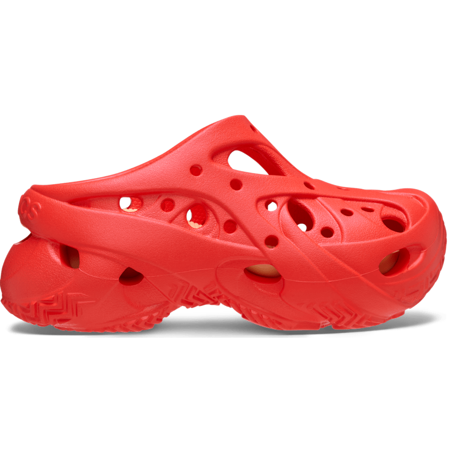 Starfish,W4