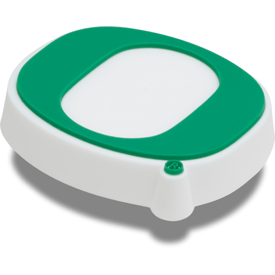 Women / Men Crocs - University of Oregon Jibbitz™ charms