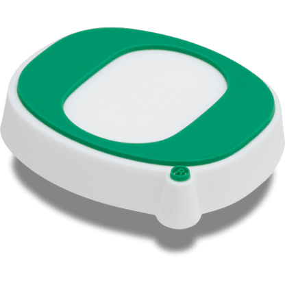 Women / Men Crocs - University of Oregon Jibbitz™ charms
