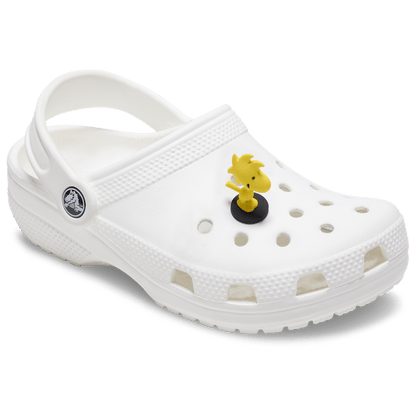 Women / Men Crocs - 3D Woodstock Jibbitz™ charms