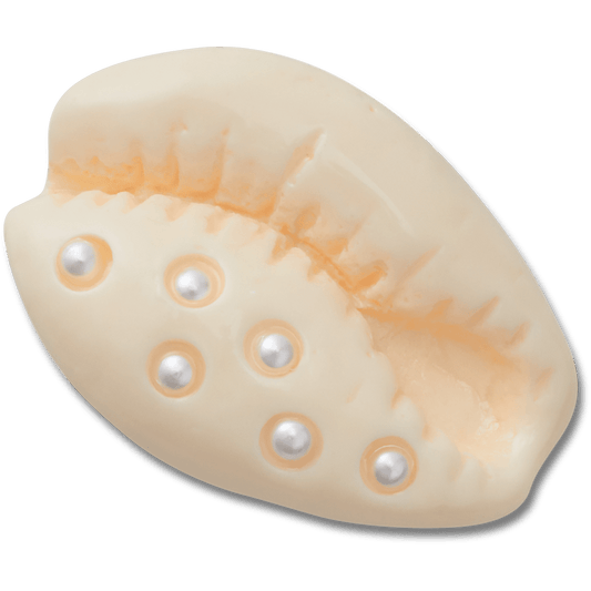 Women / Men Crocs - Pearl Puka Shell Jibbitz™ charms