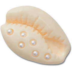 Crocs Pearl Puka Shell Jibbitz™ charms Women|Men|Jibbitz™ Charms