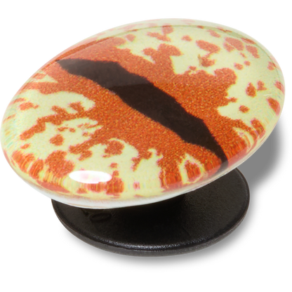 Women / Men Crocs - Hazel Animal Eye Jibbitz™ charms