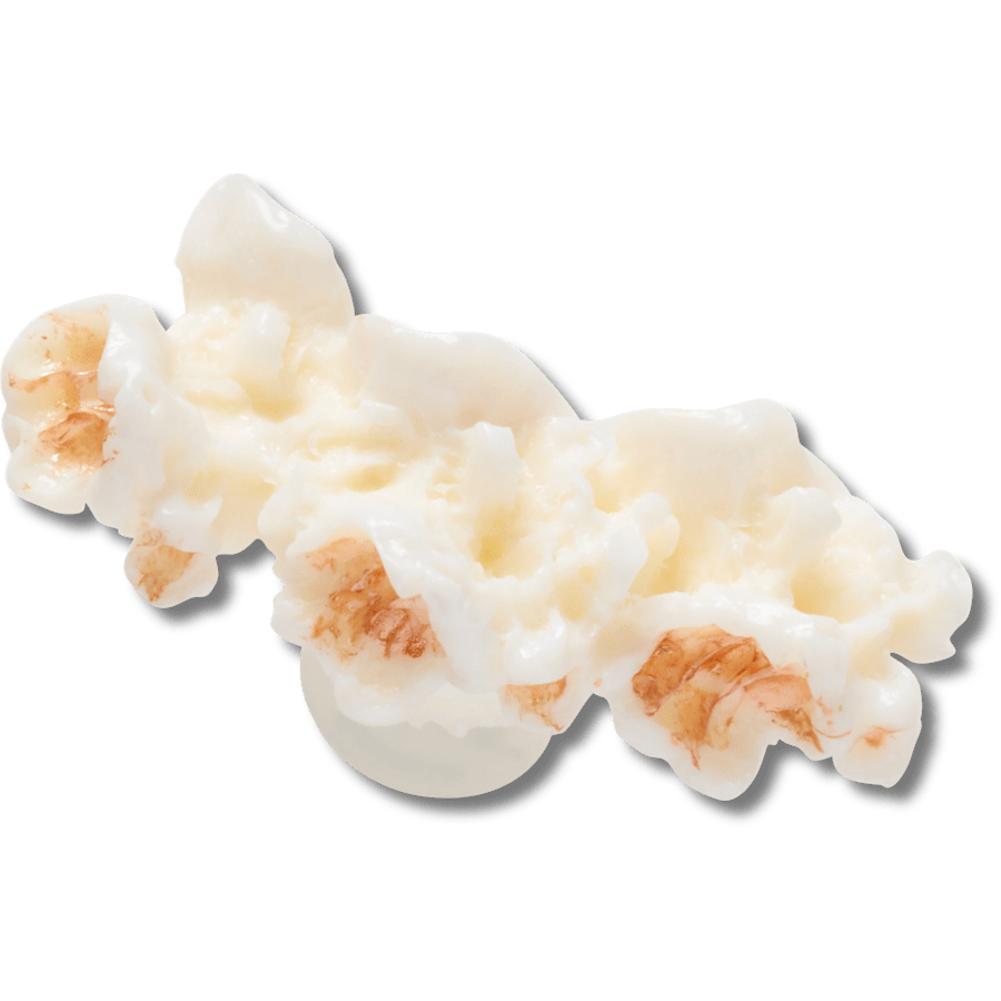Women / Men Crocs - Realistic Popcorn 2 Jibbitz™ charms