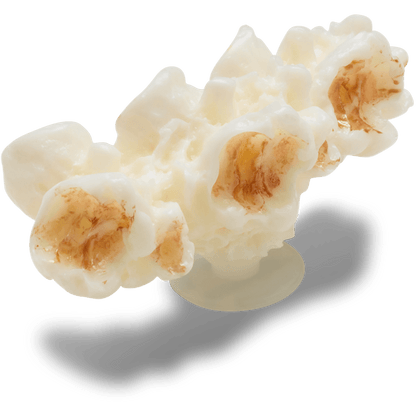 Women / Men Crocs - Realistic Popcorn 2 Jibbitz™ charms