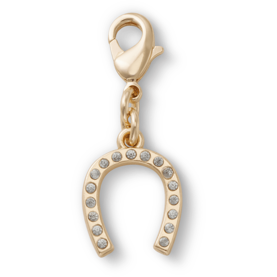 Women / Men / Kids Crocs - Horseshoe Charm Jibbitz™ charms