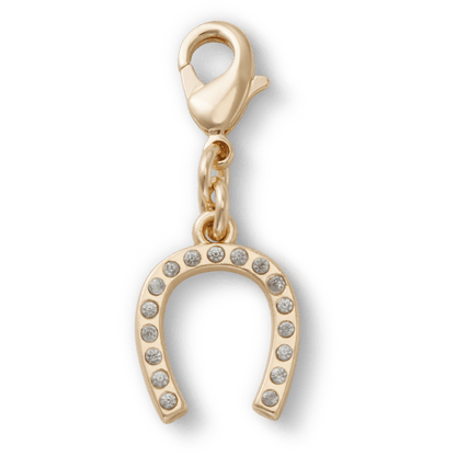 Women / Men / Kids Crocs - Horseshoe Charm Jibbitz™ charms
