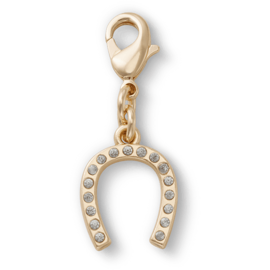 Women / Men / Kids Crocs - Horseshoe Charm Jibbitz™ charms