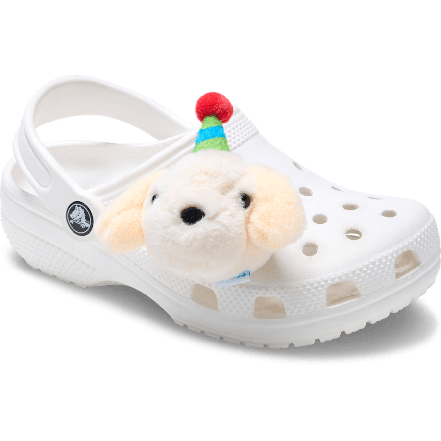 Women / Men Crocs - Record Your Own Sound Birthday Jibbitz™ charms