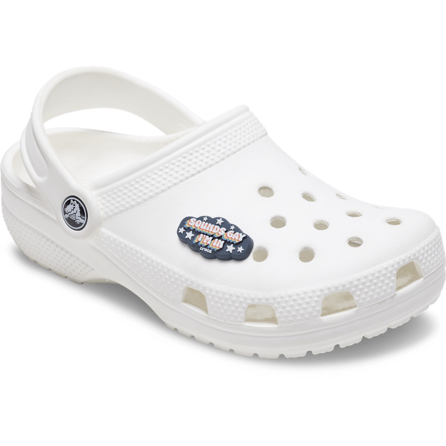 Women / Men Crocs - Sounds Gay Im In Jibbitz™ charms