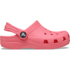 Guava
