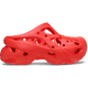 Starfish
